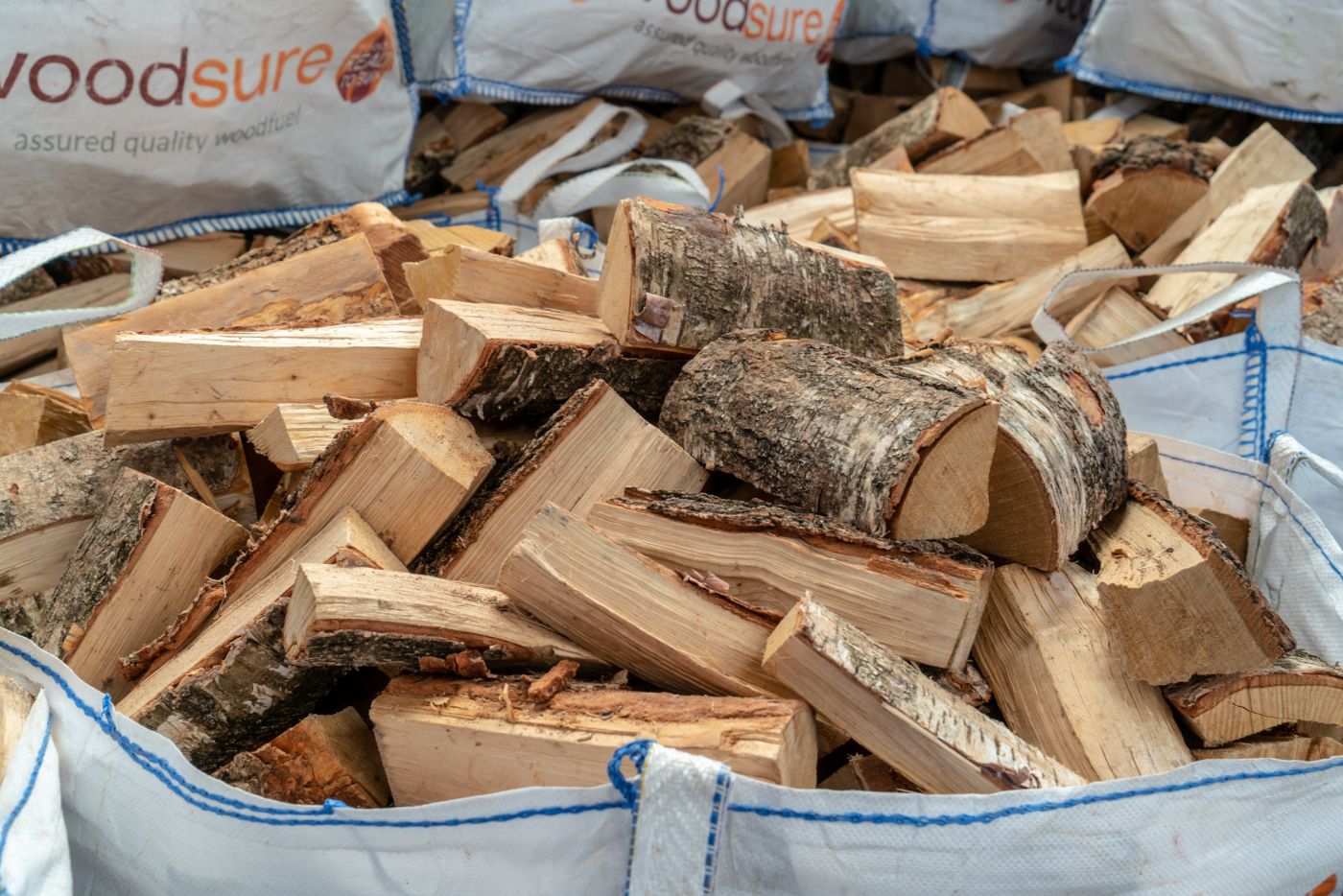 Anchor Logs